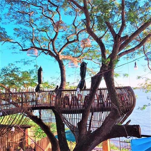 ý tưởng quán cafe trên cây